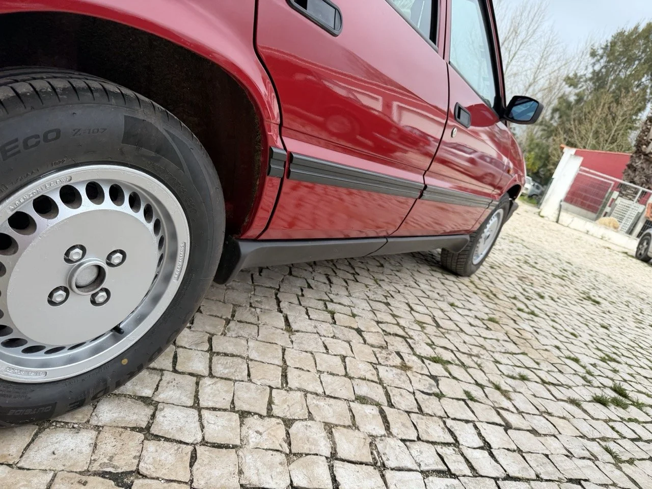 IMG_3512 – grande.jpeg