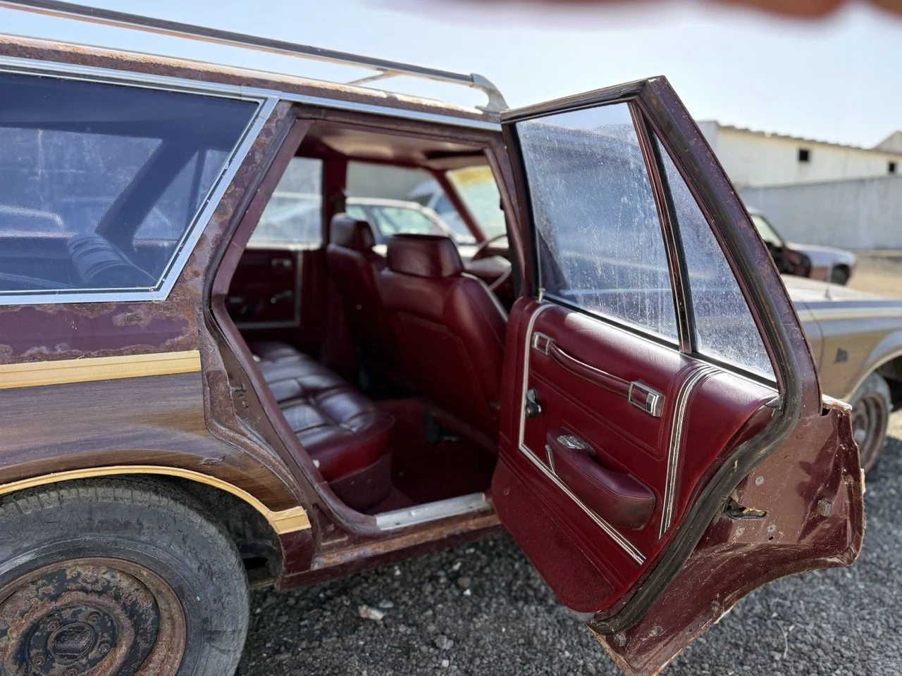 IMG_3024 – grande.jpeg