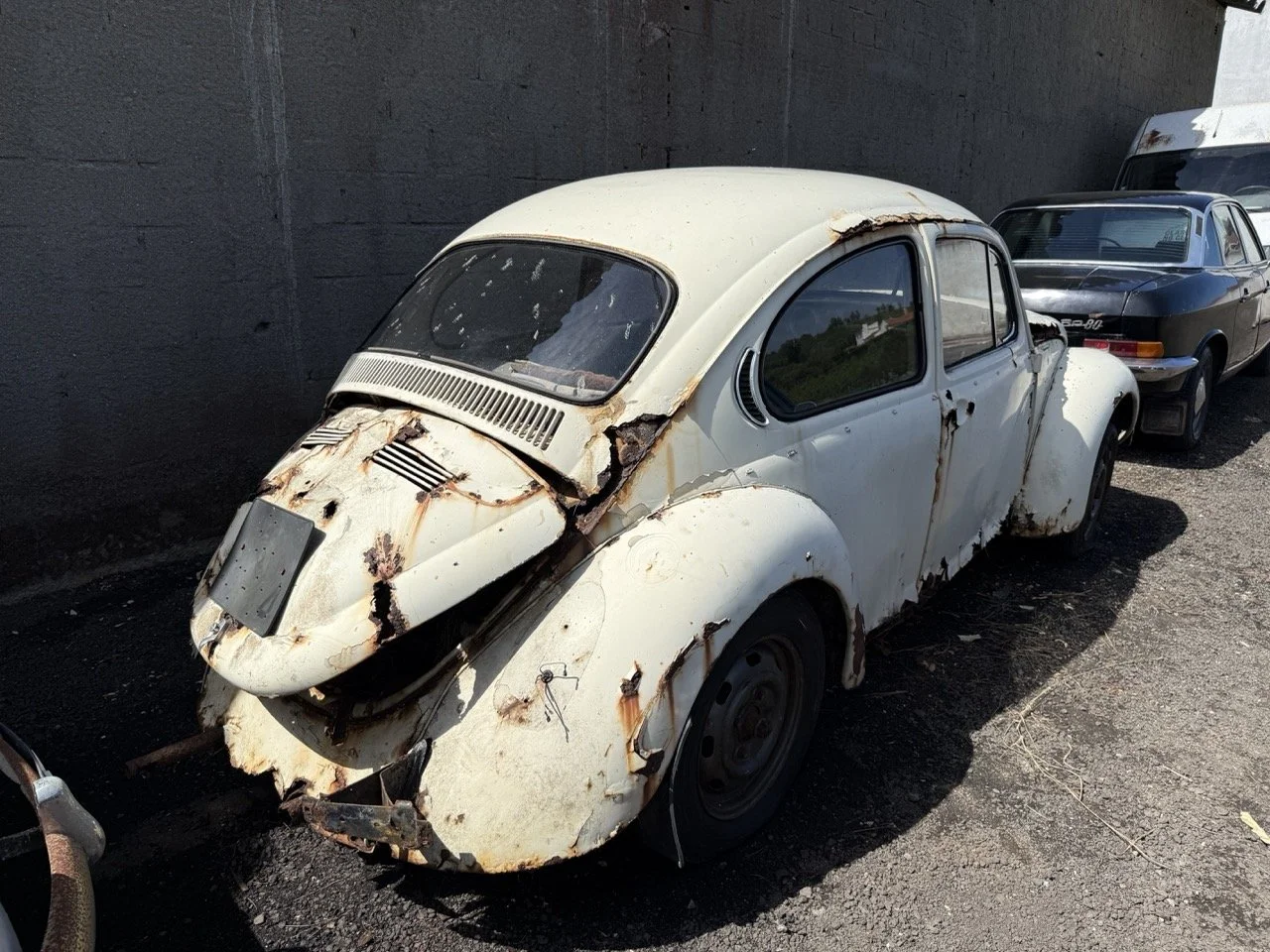 IMG_0636 – grande.jpeg