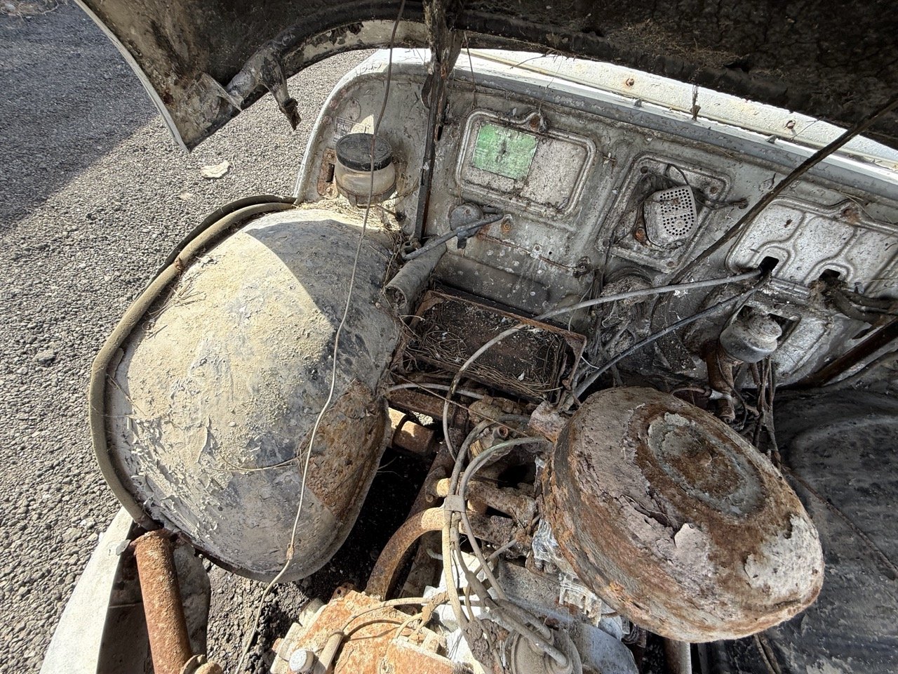 IMG_0337 – grande.jpeg