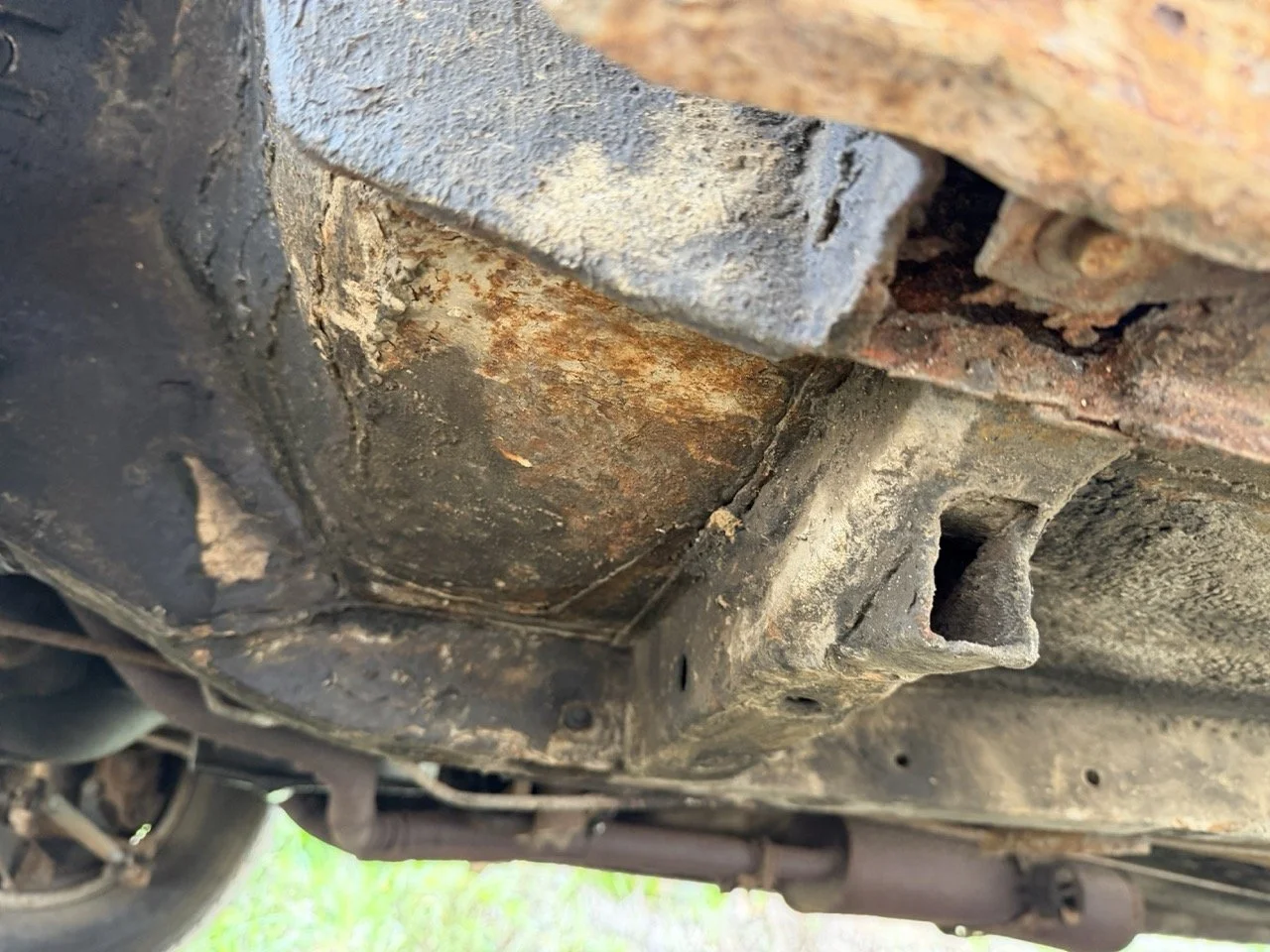 IMG_4905 – grande.jpeg