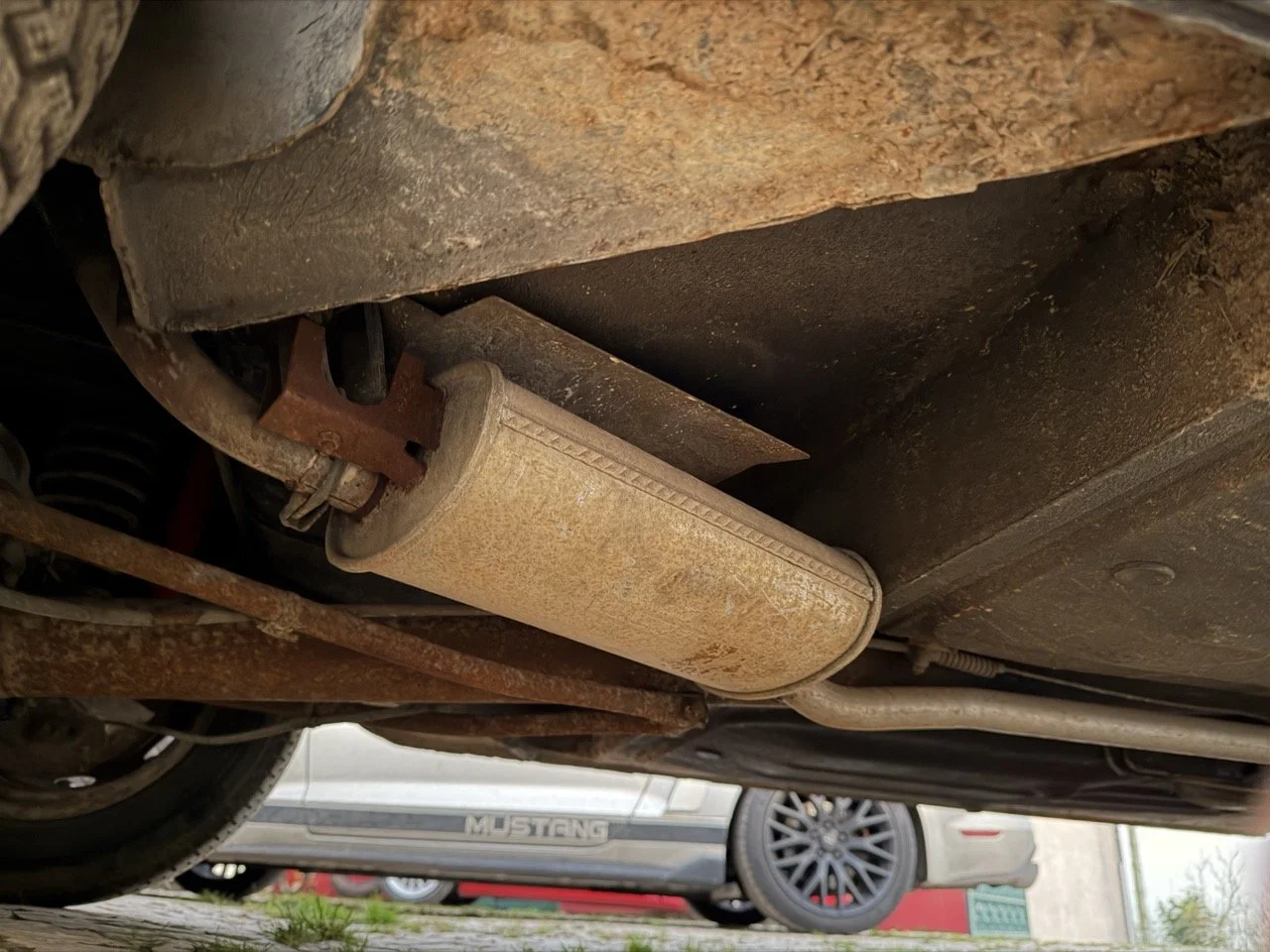 IMG_7556 – grande.jpeg