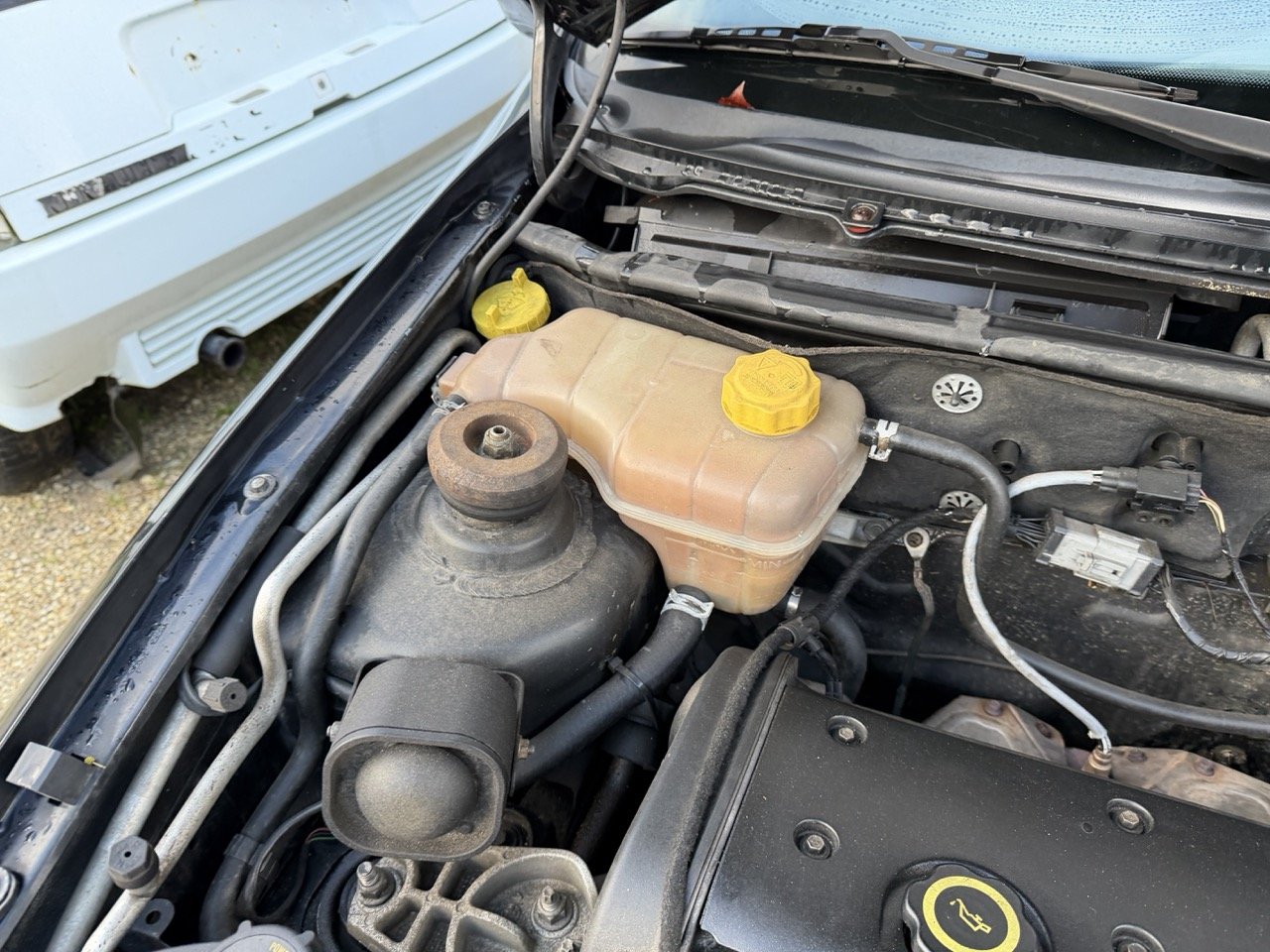 IMG_5315 – grande.jpeg