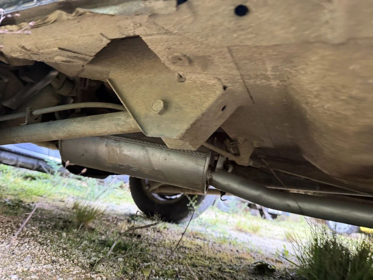 IMG_5265 – grande.jpeg