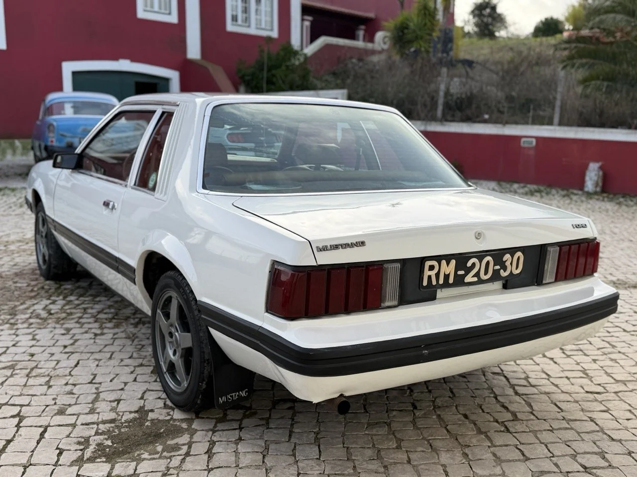 IMG_4153 – grande.jpeg