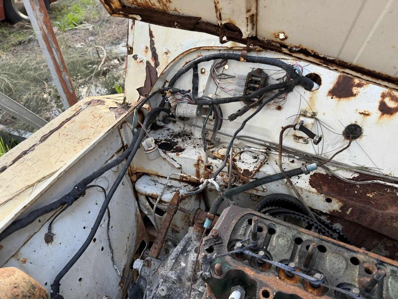 IMG_0880 – grande.jpeg