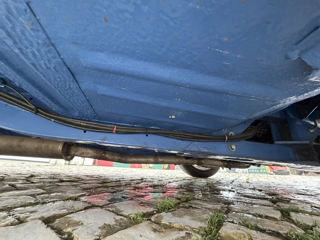 IMG_6135 – grande.jpeg