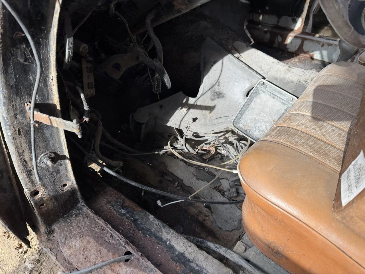 IMG_5241 – grande.jpeg