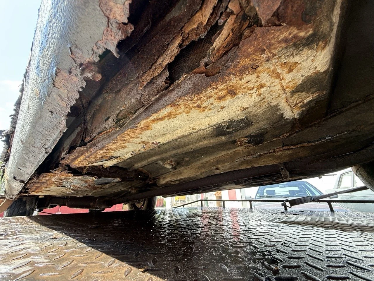 IMG_3477 – grande.jpeg