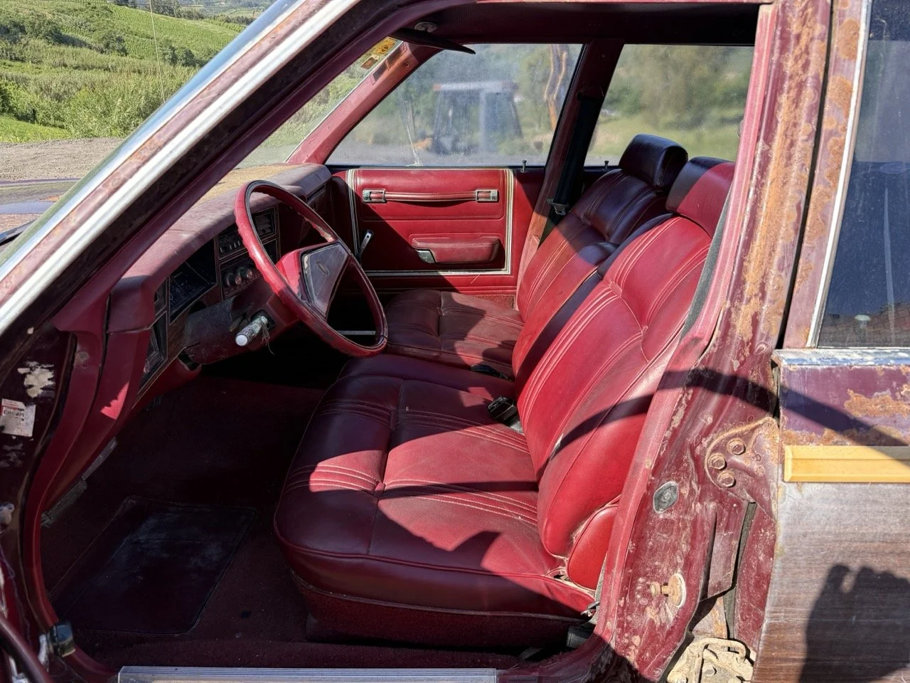 IMG_3013 – grande.jpeg