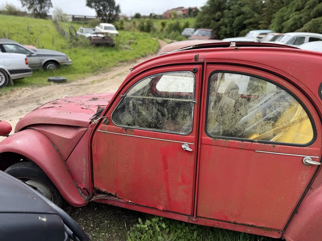 IMG_3846 – grande.jpeg