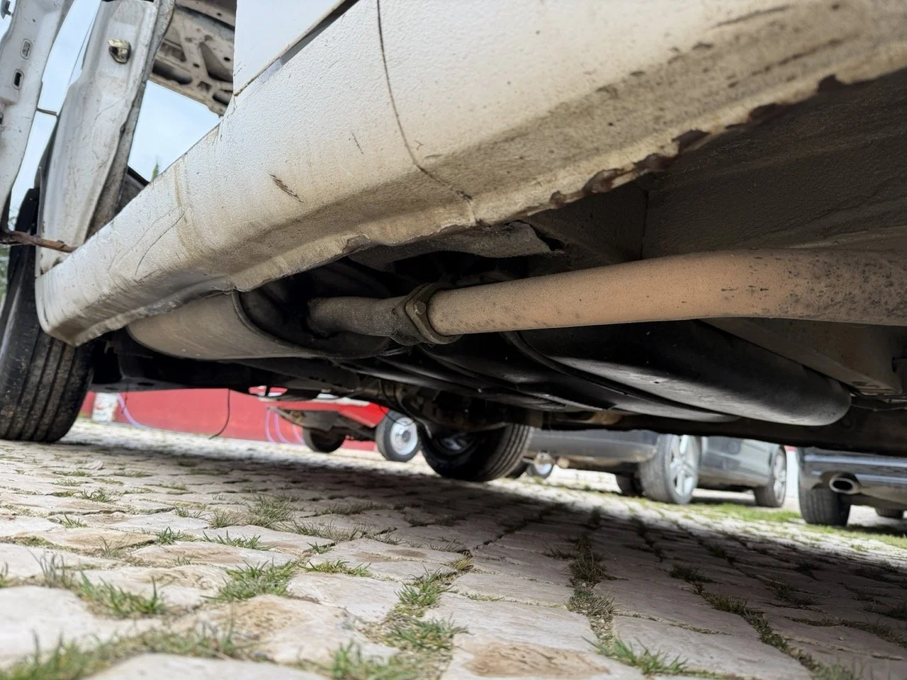 IMG_9586 – grande.jpeg