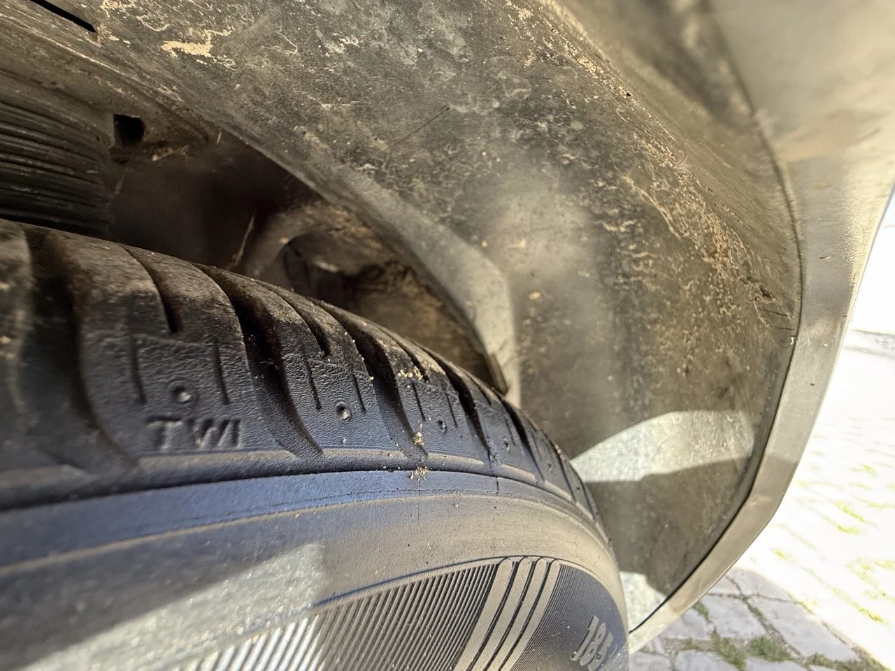 IMG_2617 – grande.jpeg