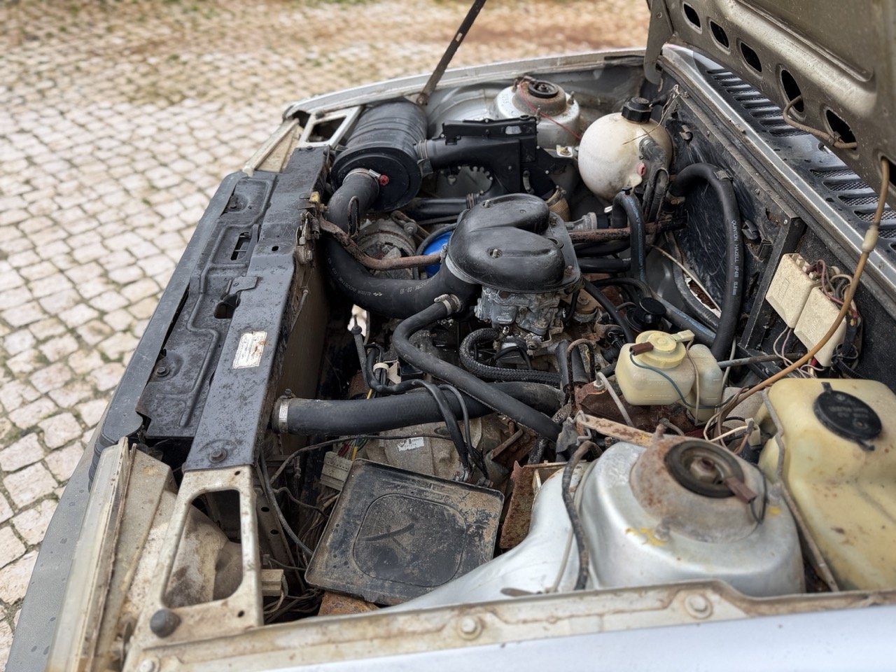 IMG_0529 – grande.jpeg