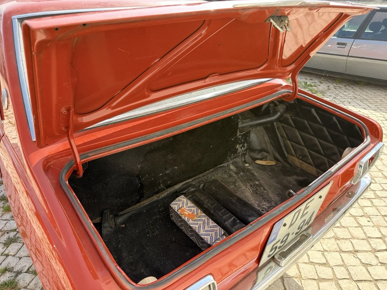 IMG_3623 – grande.jpeg