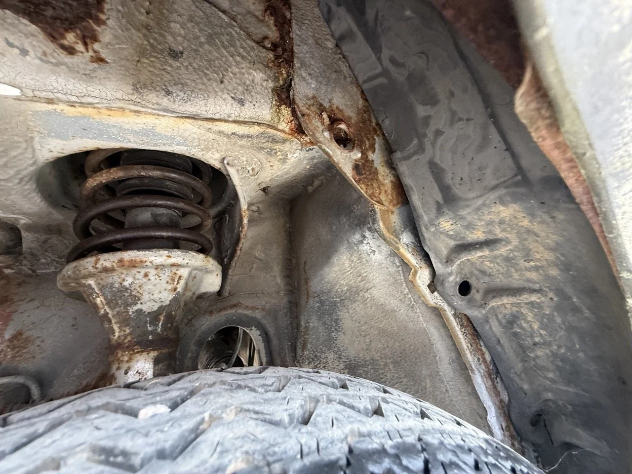 IMG_8650 – grande.jpeg