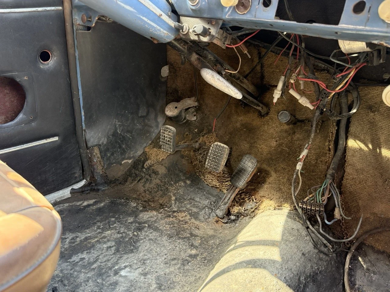 IMG_3537 – grande.jpeg