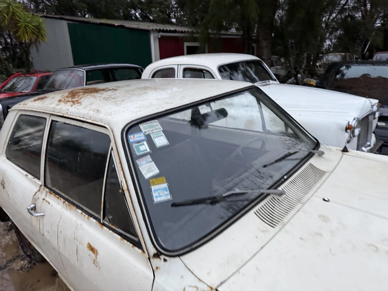 IMG_0125 – grande.jpeg