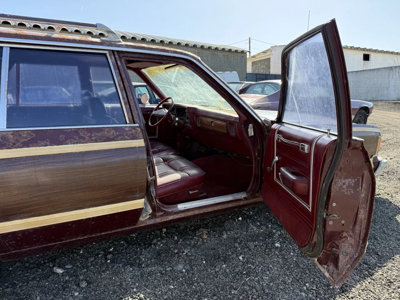 IMG_3028 – grande.jpeg