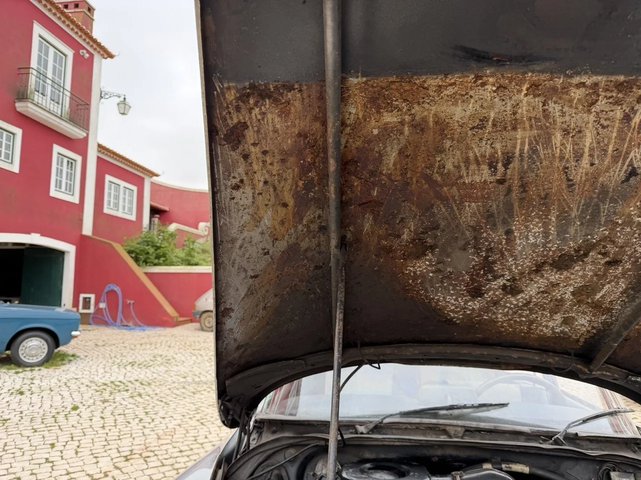 IMG_3745 – grande.jpeg