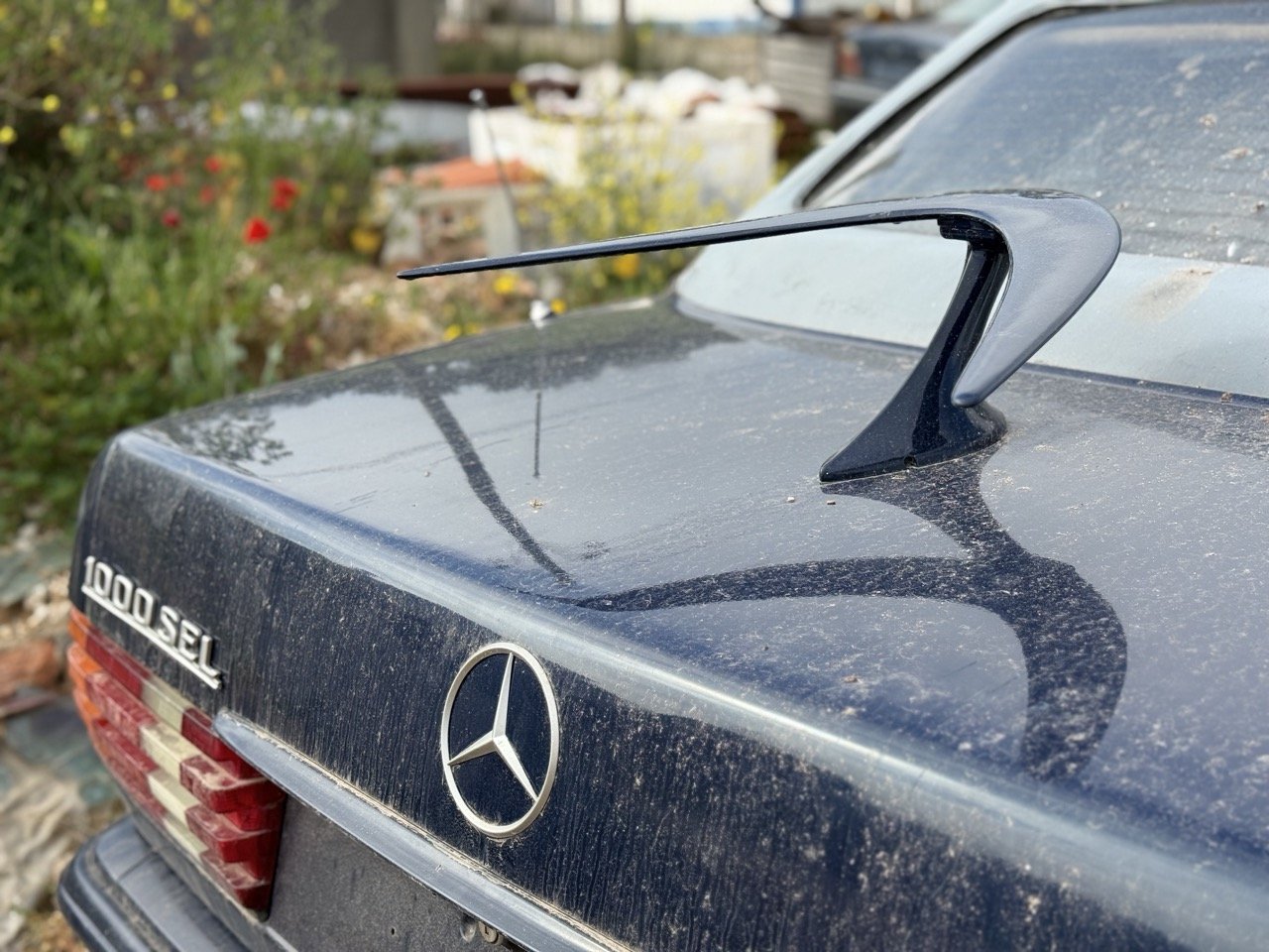 IMG_3368 – grande.jpeg