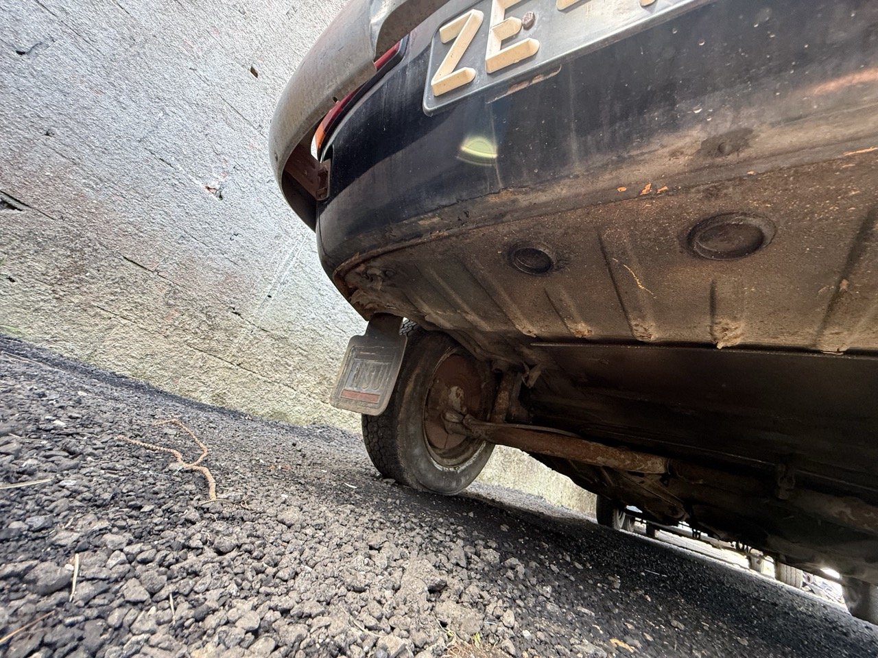 IMG_0624 – grande.jpeg