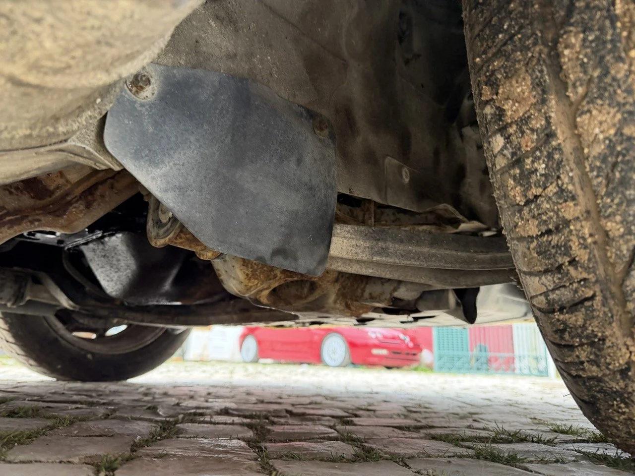 IMG_9804 – grande.jpeg