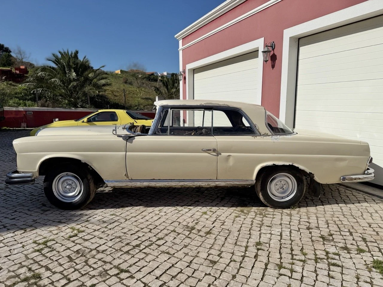 IMG_6994 – grande.jpeg