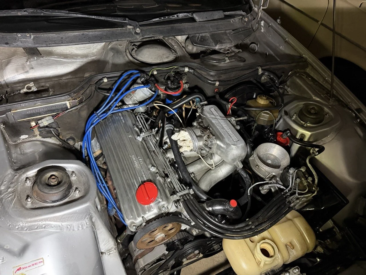 IMG_4820 3 – grande.jpeg