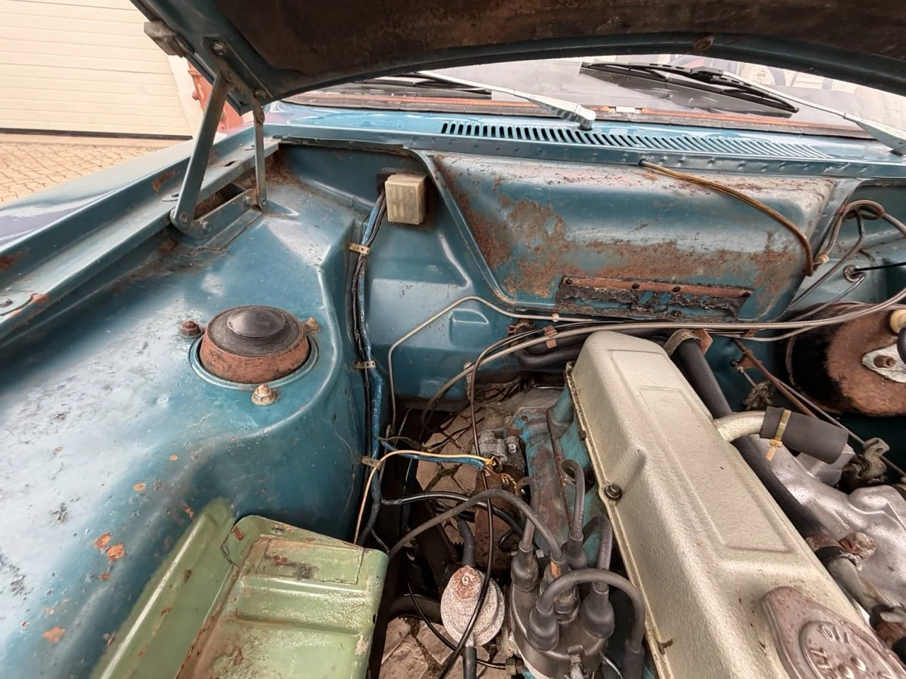 IMG_6304 – grande.jpeg