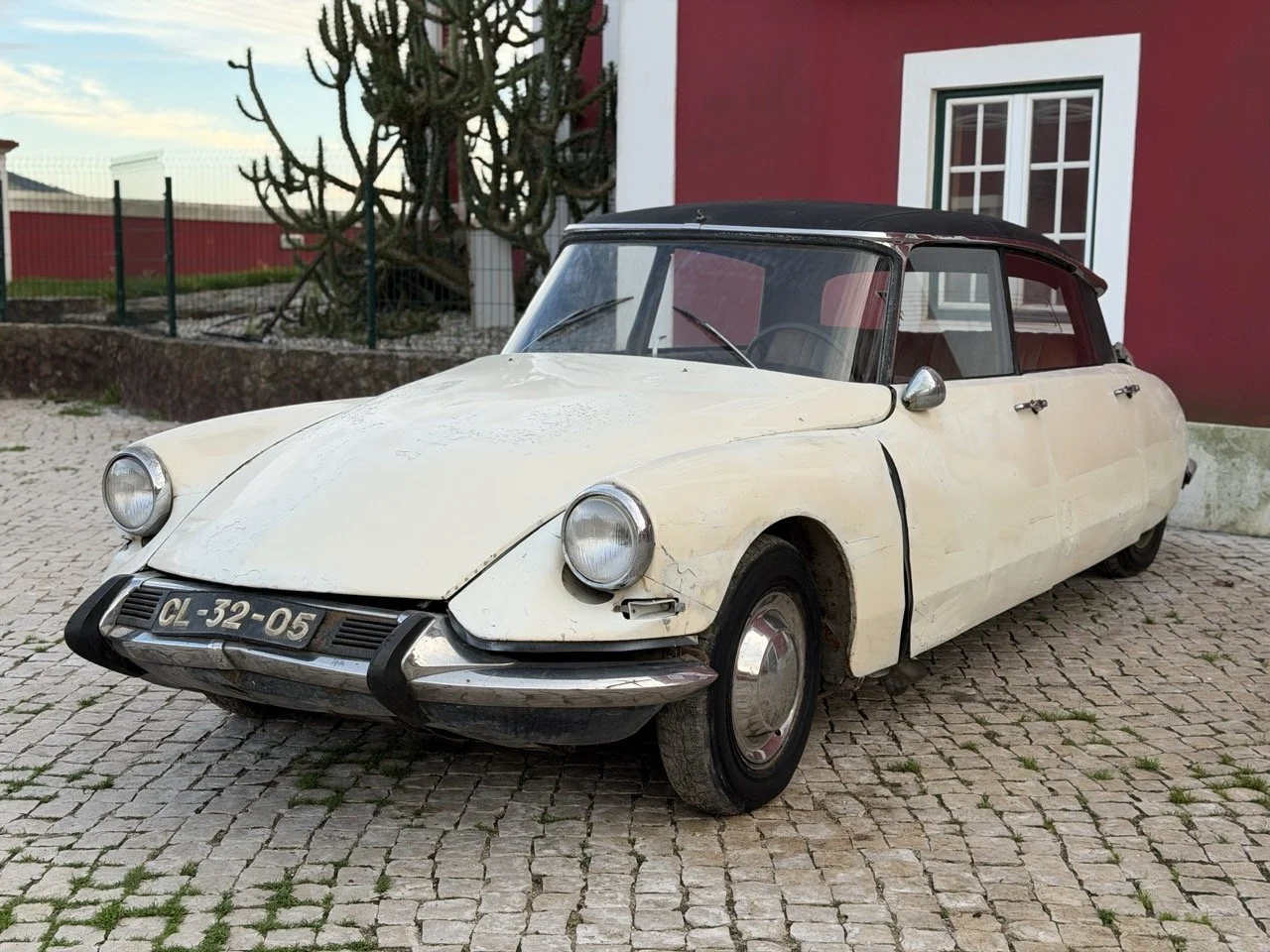 IMG_5923 – grande.jpeg