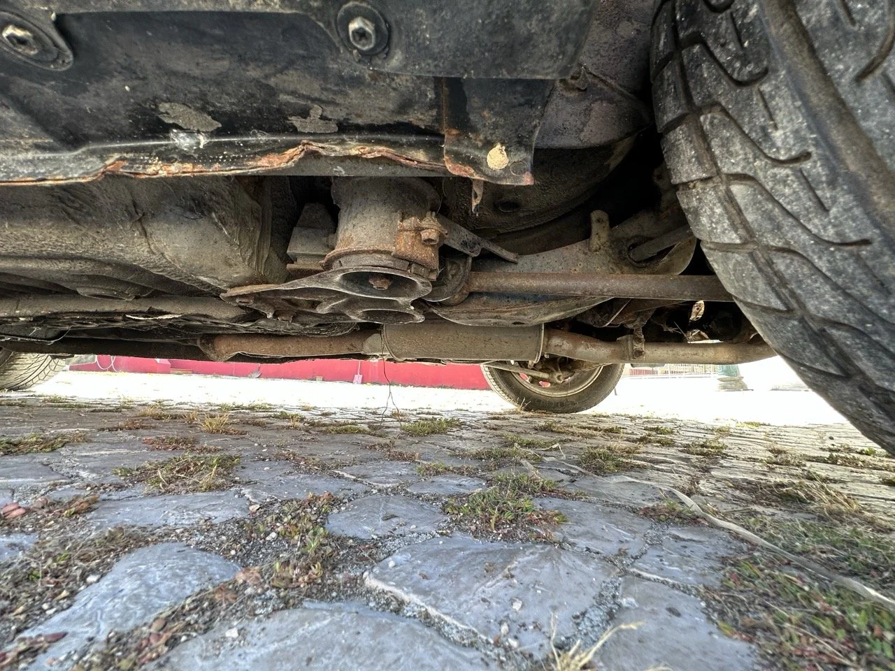 IMG_7247 – grande.jpeg