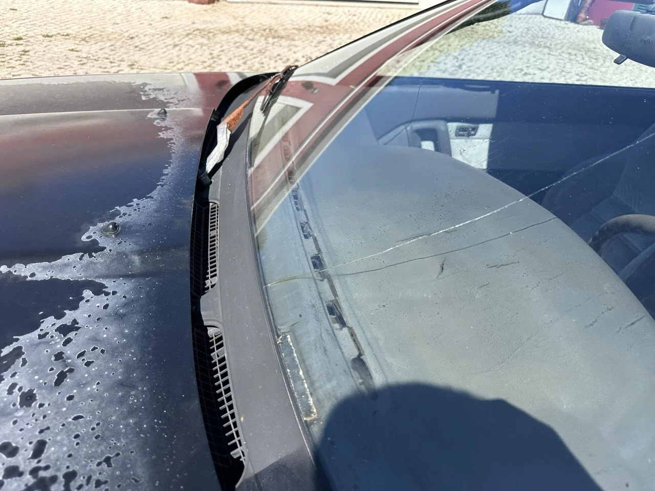 IMG_3110 – grande.jpeg