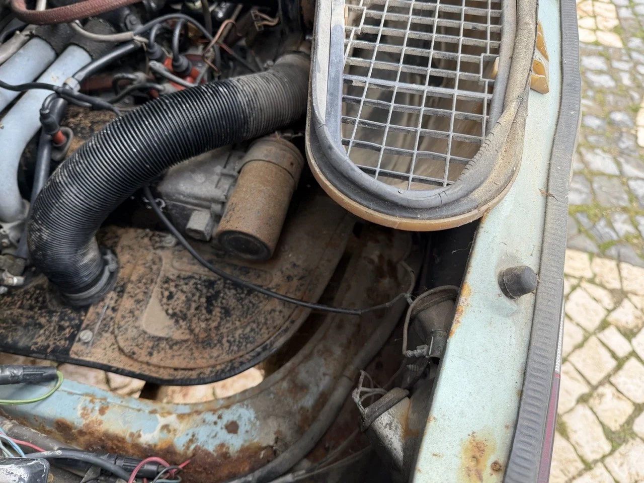 IMG_4797 – grande.jpeg