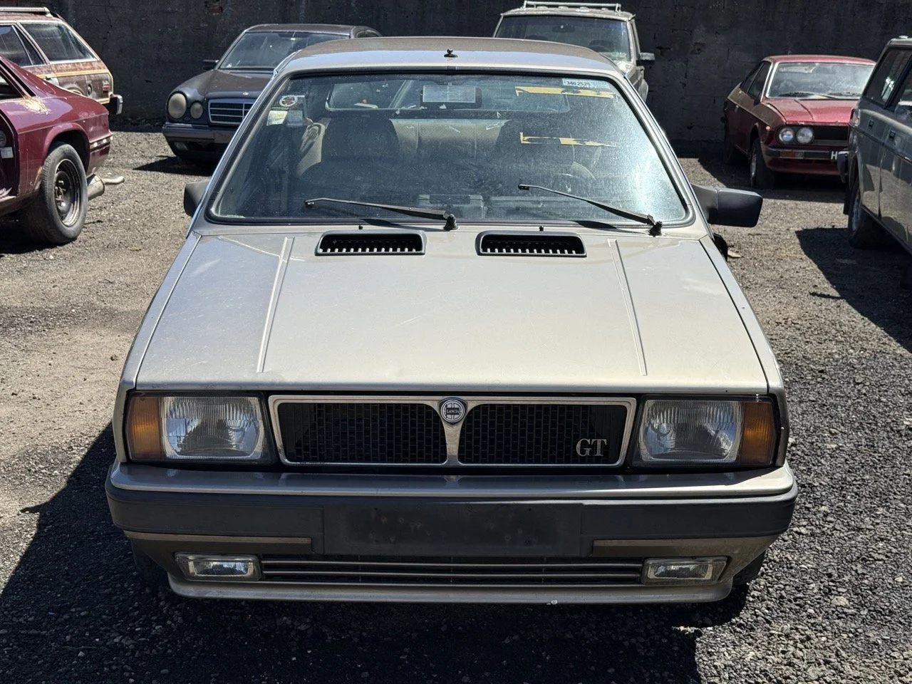 IMG_1869 – grande.jpeg