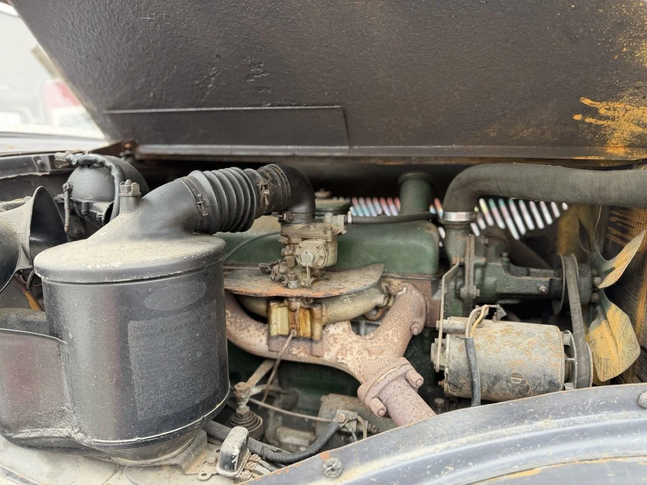 IMG_1851 – grande.jpeg