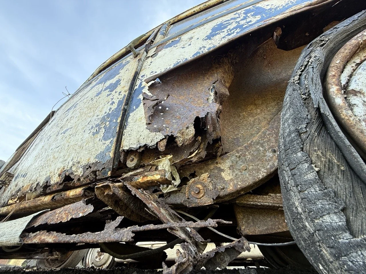 IMG_0381 – grande.jpeg