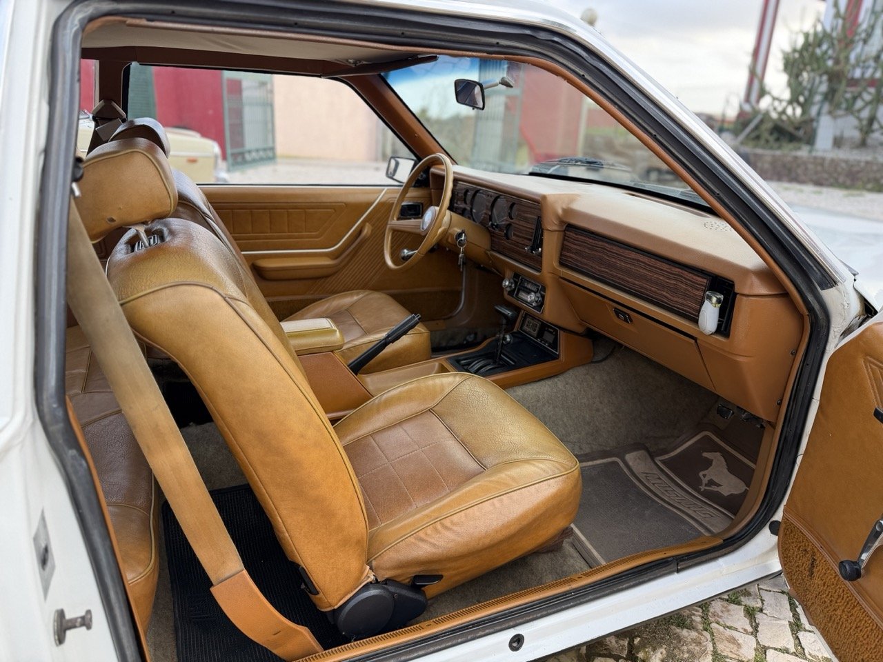 IMG_4179 – grande.jpeg