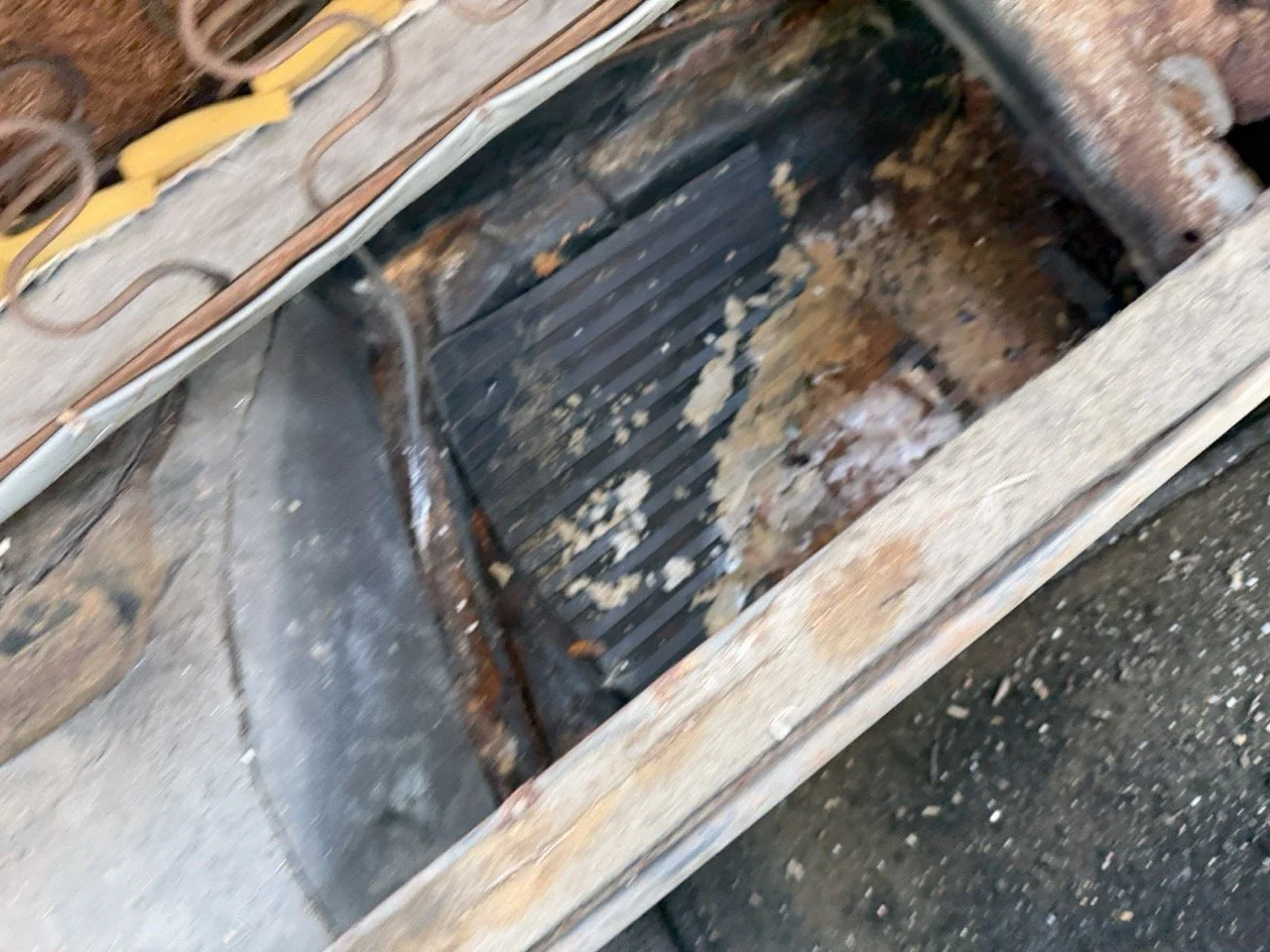 IMG_8604 – grande.jpeg