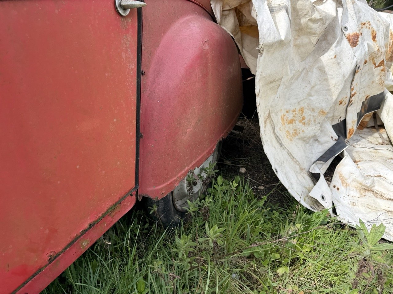 IMG_3877 – grande.jpeg