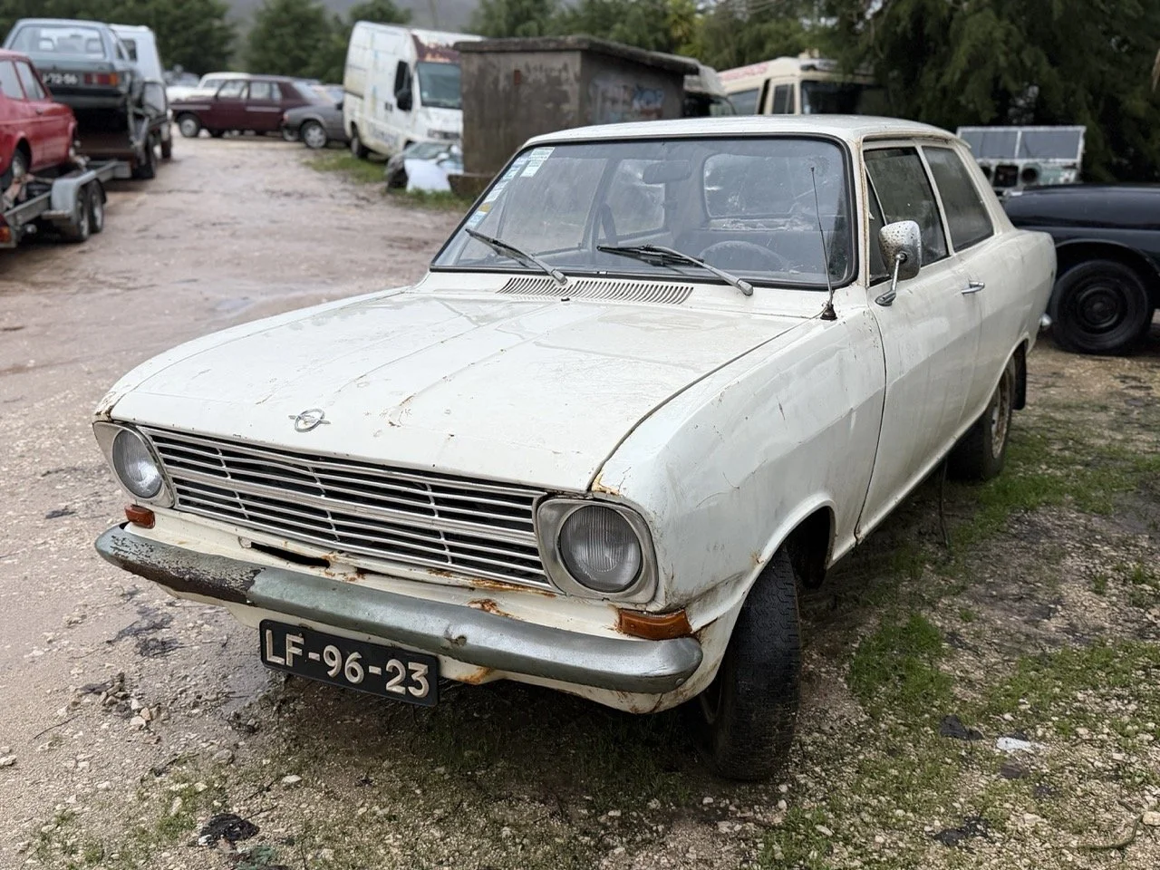 IMG_0111 – grande.jpeg