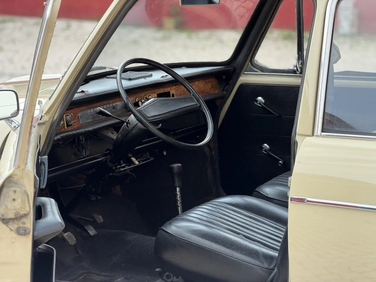 IMG_4022 – grande.jpeg