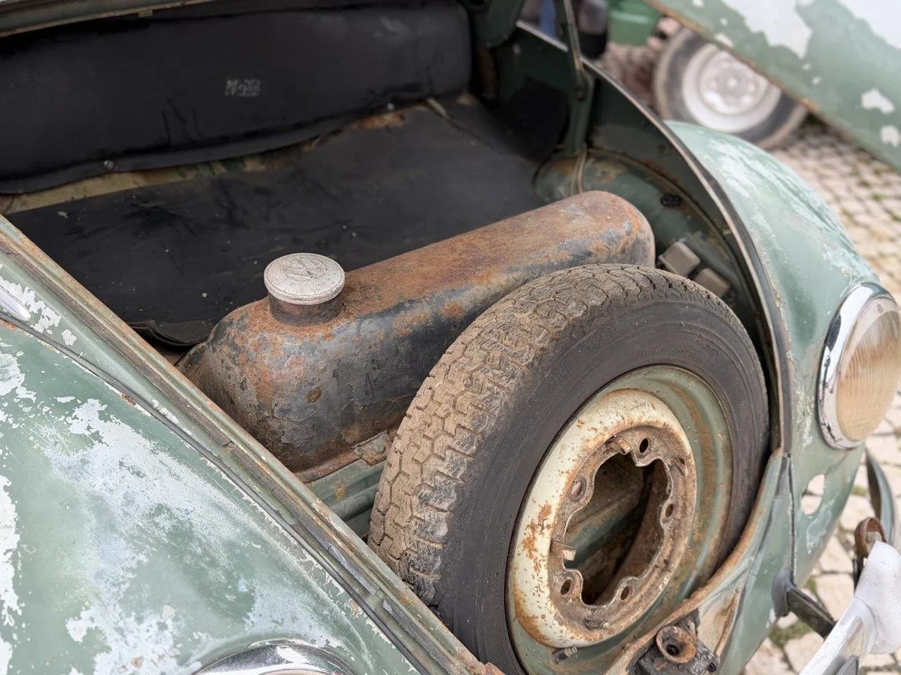 IMG_1171 – grande.jpeg