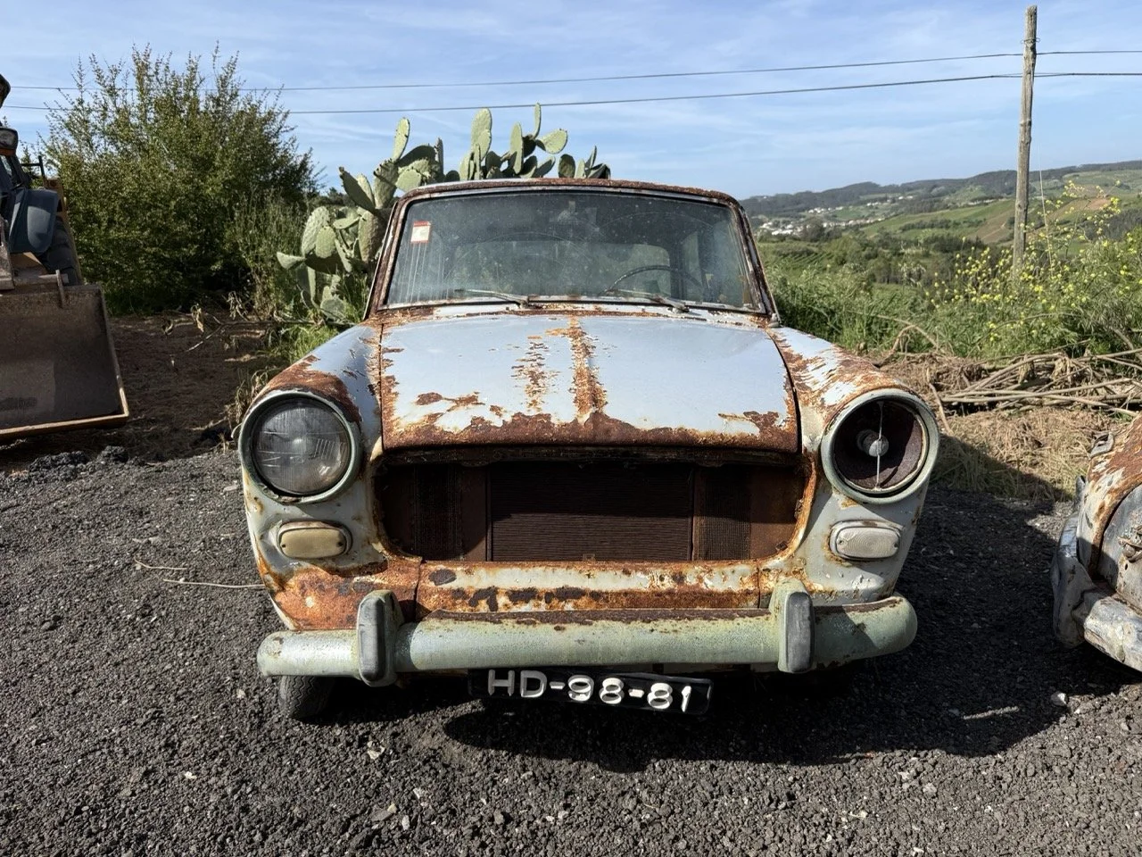 IMG_0479 – grande.jpeg