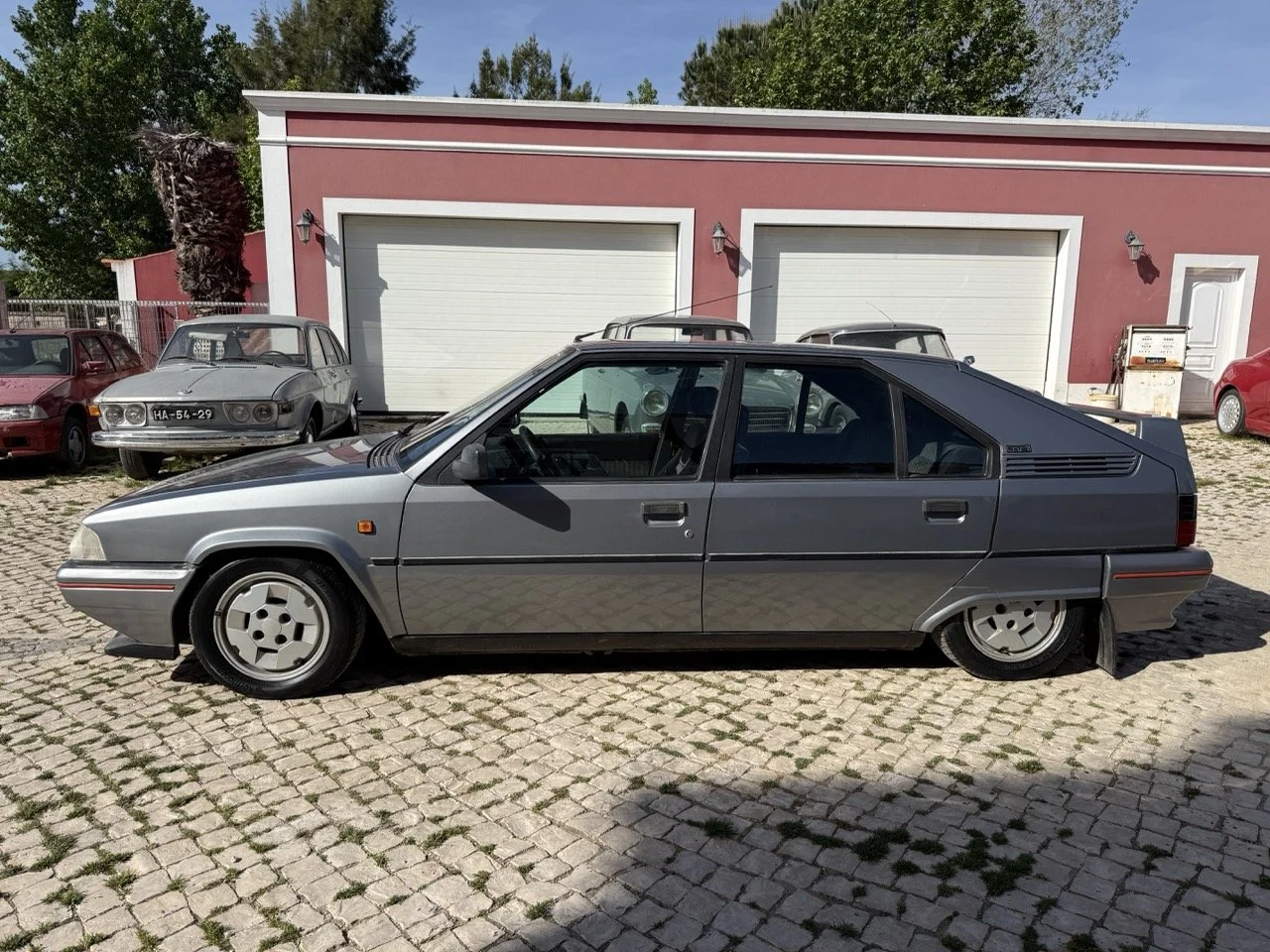 IMG_2521 – grande.jpeg