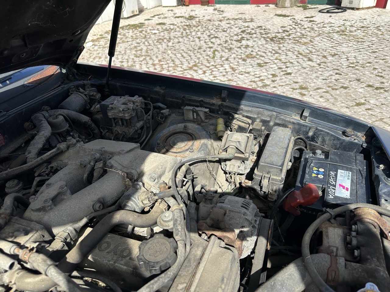 IMG_7214 – grande.jpeg