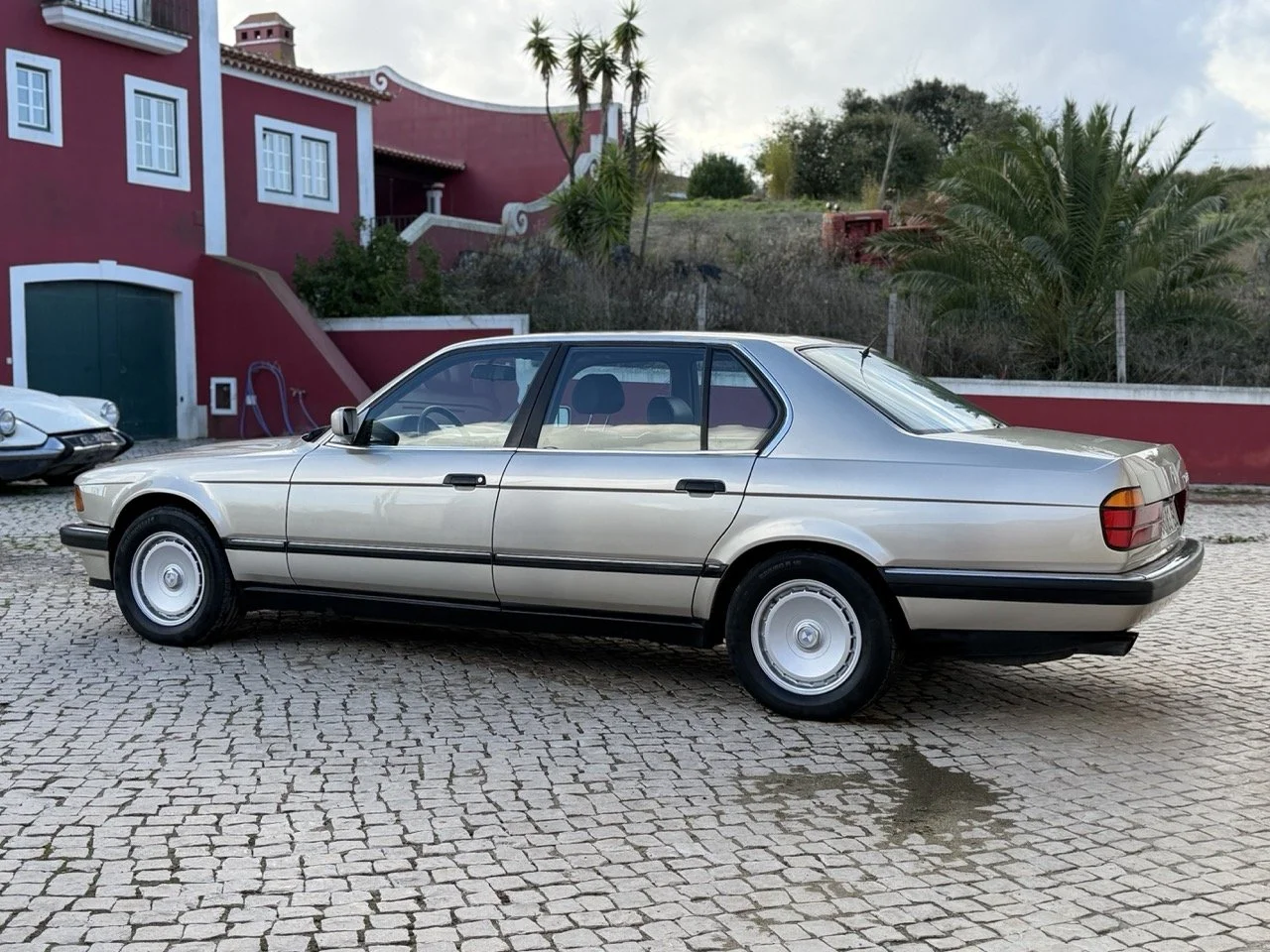 IMG_6879 2 – grande.jpeg