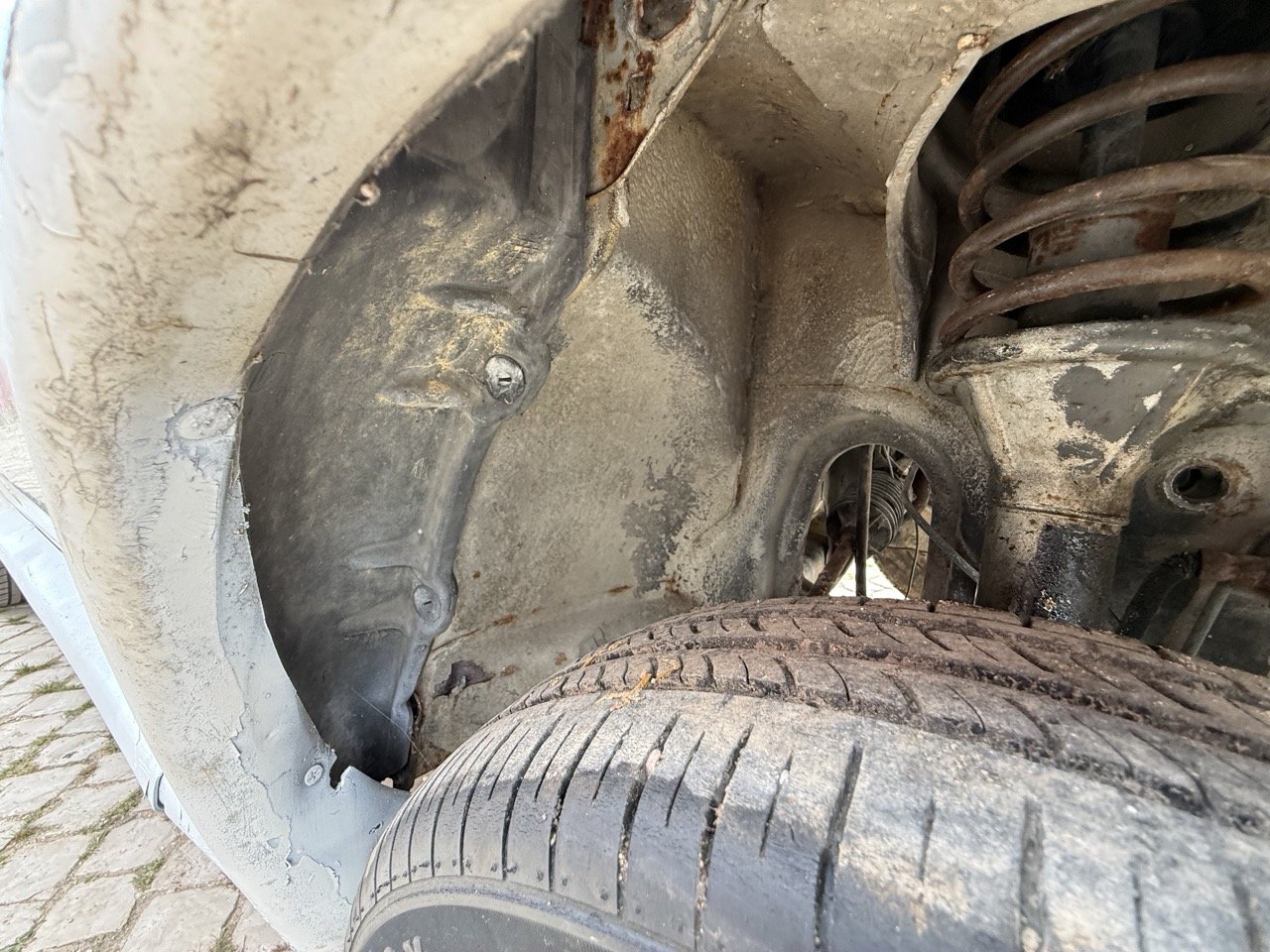 IMG_8646 – grande.jpeg