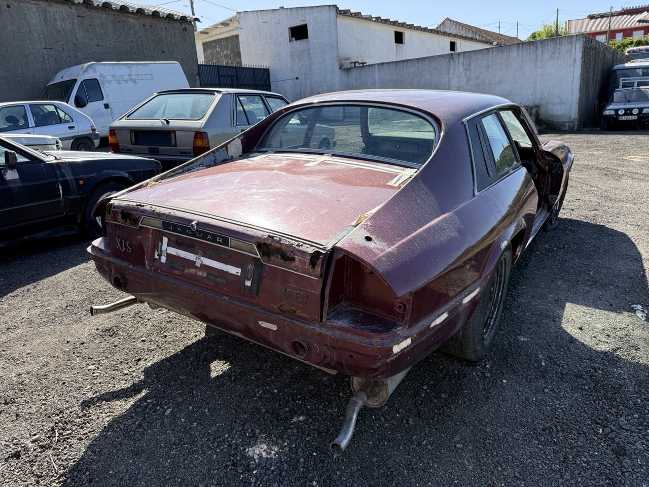 IMG_2970 – grande.jpeg