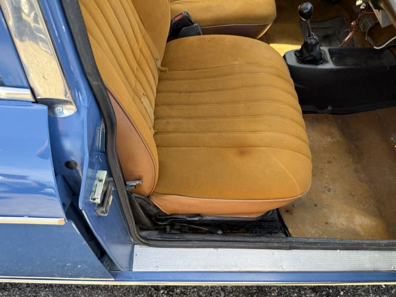 IMG_0784 – grande.jpeg